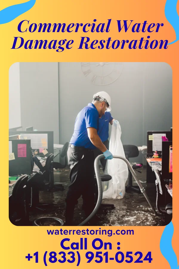 Commercial Water Damage Restoration in Ridgeville, IN