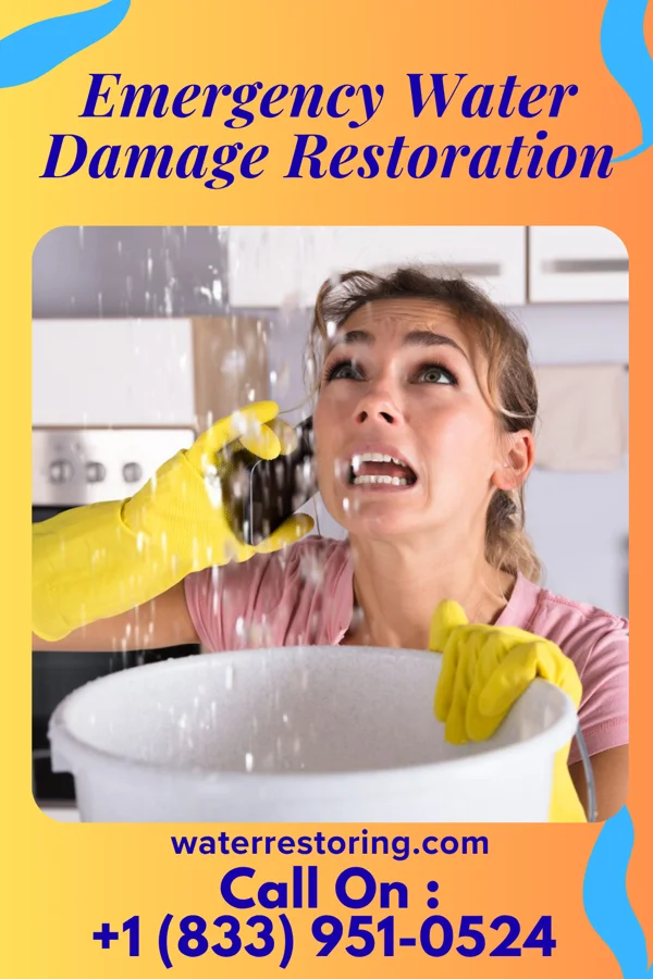 Emergency Water Damage Restoration in Ridgeville, IN