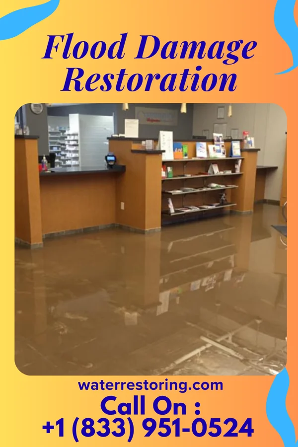 Flood Damage Restoration in Ridgeville, IN